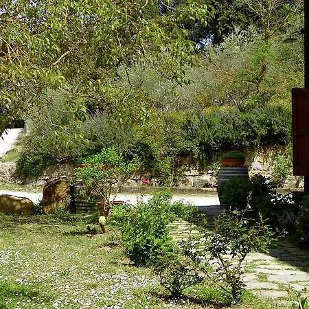 Lovely Holiday In Panzano With Swimming Pool * Greve in Chianti